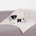 Ďalší obrázok produktu Plyšová deka KENNY, béžová s kockami a packami 150 x 100cm