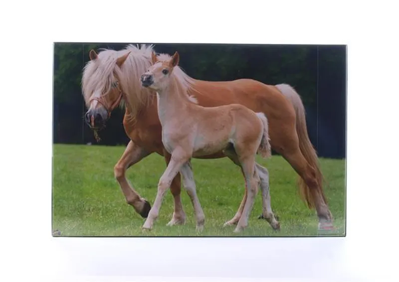 Hlavný obrázok produktu Podložka na stůl "Koně", 580x380 mm, LS
