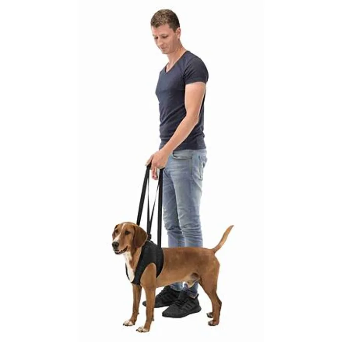 Hlavný obrázok produktu Podpůrná pomůcka k chůzi L-XL 75-85 cm černá
