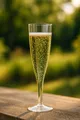 Ďalší obrázok produktu Pohárik kryštál na sekt (PS) dvojdielny priemer 65mm 0,1L [6 ks]