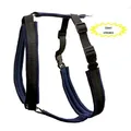 Ďalší obrázok produktu Postroj Becky S: krk 45 cm