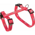 Postroj s vodítkom pre králika - motív 25-44/1cm 1,25m