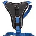Ďalší obrázok produktu Postroj Y PREMIUM - kráľovská modrá - DOPREDAJ XS-S: hruď: 37-45cm/15mm