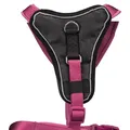 Postroj Y PREMIUM - orchidea - DOPREDAJ M:hruď:55-70cm/20mm