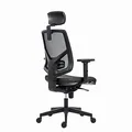 Powerton Kancelárske ergonomické kreslo Tina, Šedé