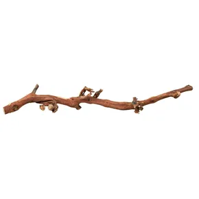 Prírodné dekorácie do terária, vetva z vínnej révy L 40-60cm