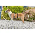 Ďalší obrázok produktu Protipanický adaptér STAY na postroj, černáL-XL: 59-92 cm/ 25 mm