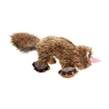 Ďalší obrázok produktu Ptakopysk, 35 cm, plyšová hračka pro psy, HIPHOP DOG