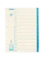 Registry , biely, 1-12, A4, kartón, ESSELTE