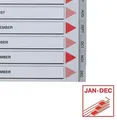 Ďalší obrázok produktu Registry , Jan-Dec, sivý, plastový, A4, ESSELTE