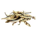 Ďalší obrázok produktu Rybičky - morské šproty bal. 50 g