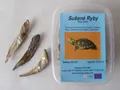 RYBIČKY, sušené v krabičke 200 ml