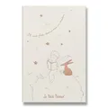 Sada Moleskine Le Petit Prince L, zápisník a diár, zberateľská edícia