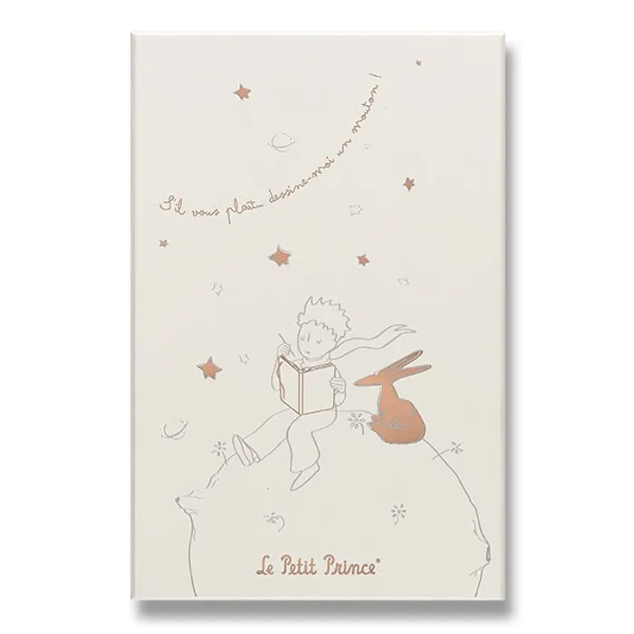 Hlavný obrázok produktu Sada Moleskine Le Petit Prince L, zápisník a diář, sběratelská edice