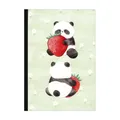 Linkovaný zošit B5 M&G Panda a Medveď (4 dizajny)