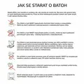 Ďalší obrázok produktu Školský batoh Boll Smart Artwork 24 Chilli Peppers black