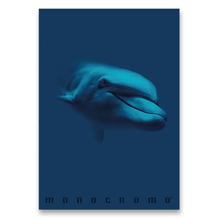Hlavný obrázok produktu Školní sešit Monocromo Blue A4, linkovaný, 40 listů, mix motivů