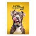 Ďalší obrázok produktu Školný zošit Pets 2025 - A4, linajkovaný, 40 listov, mix motívov