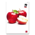 Školský zošit Pigna Fruits A4, linajkový, 40 listov, mix motívov