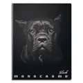 Školský zošit Pigna Monocromo Black A4, linajkový, 40 listov, mix motívov