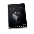 Ďalší obrázok produktu Školský zošit Pigna Monocromo Black A5, linajkový, mix motívov