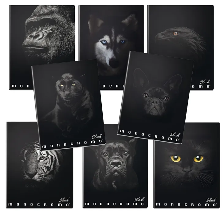Hlavný obrázok produktu Školní sešit Pigna Monocromo Black A4, linkovaný, 40 listů, mix motivů