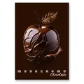 Školský zošit Pigna Monocromo Chocolate - A4, linajkový, 38 listov, mix motívov