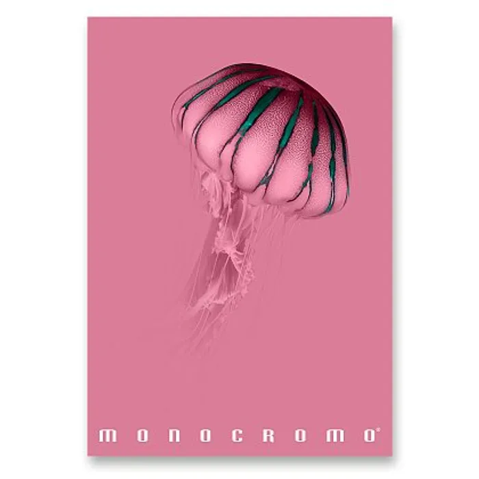 Hlavný obrázok produktu Školní sešit Pigna Monocromo Pink - A4, linkovaný, 38 listů, mix motivů