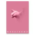 Ďalší obrázok produktu Školský zošit Pigna Monocromo Pink - A4, linajkový, 38 listov, mix motívov
