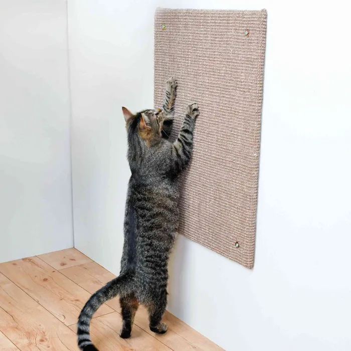 Hlavný obrázok produktu Škrábací deska XL 50 x 70 cm hnědá