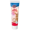 Ďalší obrázok produktu Sladová pasta pre hlodavce Red Berry - s lesnými plodmi, 100g
