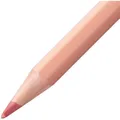 Ďalší obrázok produktu STABILOaquacolor Pastellove Akvarelové pastelky - sada 12 farieb
