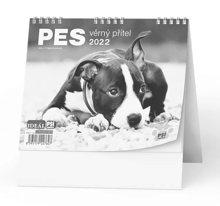 Hlavný obrázok produktu Stolní kalendář - IDEÁL - Pes - věrný přítel /s psími jmény/