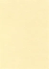 Textúrovaný papier, pergamenový efekt, šampaň, A4, 95g, APLI [100 listov]