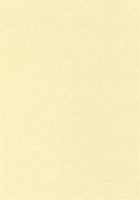Hlavný obrázok produktu Texturovaný papír, pergamenový efekt, šampaň, A4, 95g, APLI [100 listů]