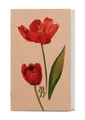 Týždenný diár - Alois - kraft - Tulipán