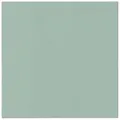 Obrúsky PAW AIRLAID 40x40 cm Monocolor Light Green [50 ks]