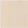 Obrúsky PAW AIRLAID L 40x40cm Monocolor beige [50 ks]