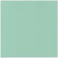 Obrúsky PAW AIRLAID L 40x40cm Monocolor (light mint) [50 ks]