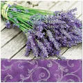 Obrúsky PAW L 33x33 cm 3 vrst. Lavender in the Country [20 ks]
