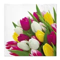 Obrúsky PAW L 33x33 cm Bunch of Tulips