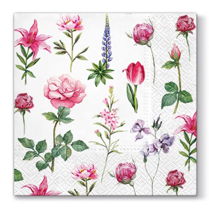 Hlavný obrázok produktu Ubrousky PAW L 33X33cm 3 vrst. Boons of Garden [20 ks]