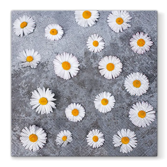Hlavný obrázok produktu Ubrousky PAW L 33x33cm Daisies Love