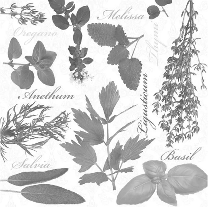 Hlavný obrázok produktu Ubrousky PAW L 33x33cm Herbal Taste