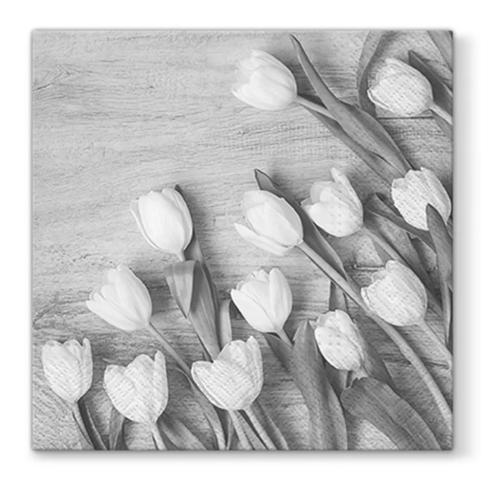 Hlavný obrázok produktu Ubrousky PAW L 33X33cm White Tulips