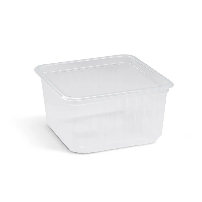 Hlavný obrázok produktu Vanička (PP) Quadroboxx průhledná 115 x 115 x 61 mm 500ml [50 ks]
