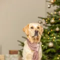 Ďalší obrázok produktu Vánoční hebká šála, plyš, starorůžová70 cm