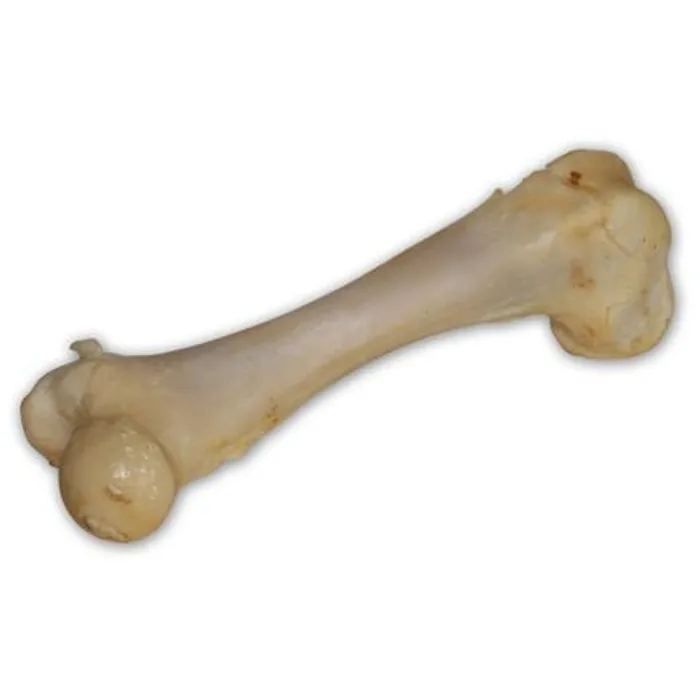 Hlavný obrázok produktu Vepřová kost bílá - extrudovaná 1 ks/17 cm