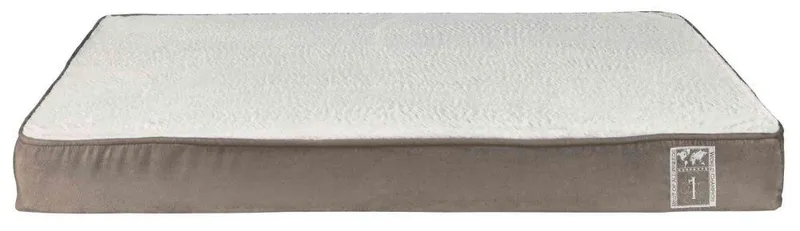 Hlavný obrázok produktu Vital polštář Best of All Breeds, 80 x 50 cm, tmavošedá/šedá - DOPRODEJ