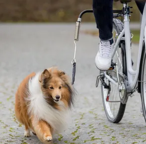 Vodiaci set na bicykel DE LUXE